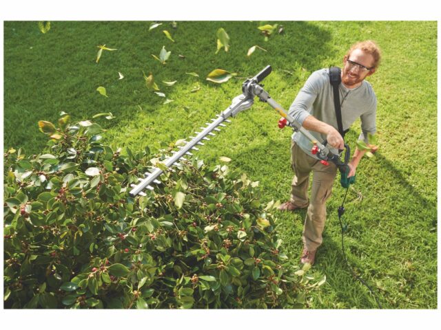 aparador de sebes lidl cabo longo