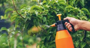 proibição pesticidas jardim