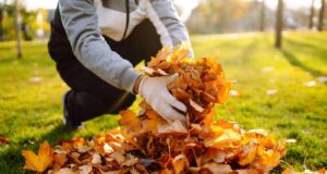 ações preparação jardim abril