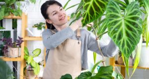 pessoas gostam de plantas de interior