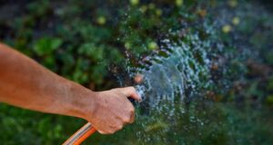 pressão mangueira de rega