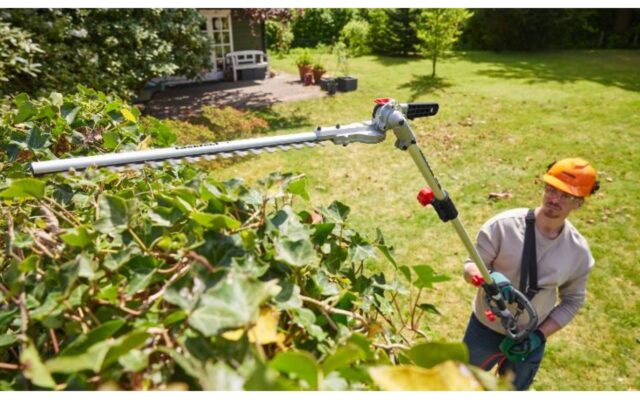 Cortador de sebes de cabo longo Lidl