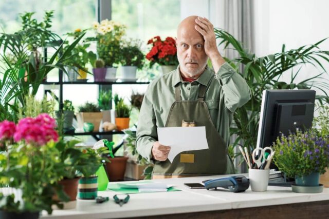 borra de café plantas nunca borra de café plantas nunca