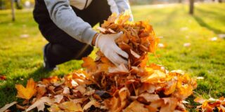 ações preparação jardim abril